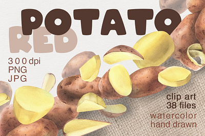 Red Potato Watercolor Clip Art unpeeled