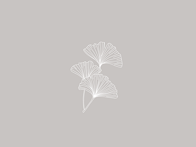 Ginkgo Leaves botanical illustration botanical logo brand identity branding illustration logo design visual identity