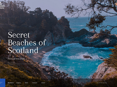 Best Beaches concept for Travel Chapter branding typography ui ux web