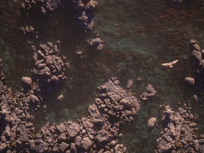 Sea Shore 3d 3d art 3d artist c4d cinema 4d color composition design displacement map lightning photoshop render