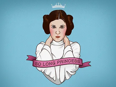 So Long Princess illustration princes leia star wars