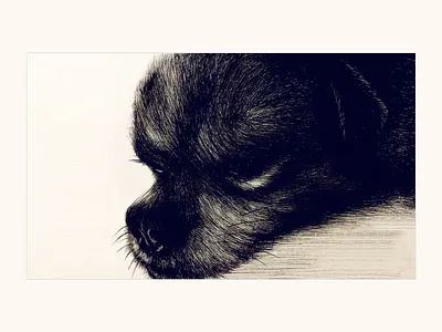 New Shot - 11/06/2018 at 07:59 AM 插图