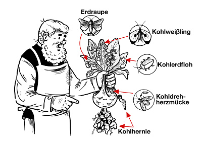 Gärtner Poetschke with Kohlrabi cartoon cartoon character disease funny garden gardener gardening illness illustration insects kohlrabi poetschke vegetables