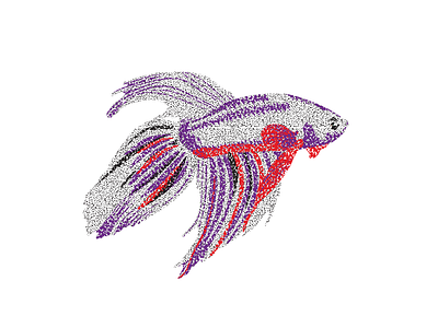 Betta Splendens Pattern Exploration