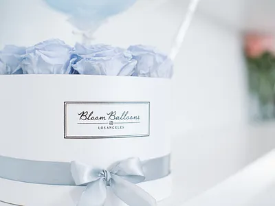 Bloom Balloons branding design illustration in studio photography logo photography product photography still photography typography