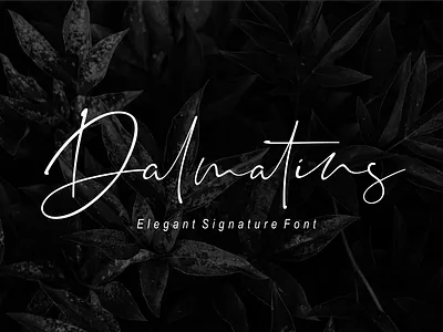 Dalmatins // Elegant Signature Font branding business casual classic elegant exclusive fashion feminime font illustration logo luxury minimalist natural script script font signature simple stylish typography