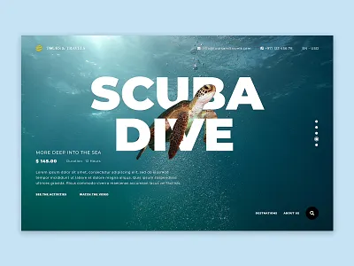 Website concept for tours and travels (Second Slide) design typography ui ux web website