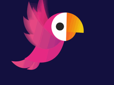 The Bird 2d animation adobe adobe aftereffects animation animation 2d character animation character illustration gif animated gif animation gif. illustration motion art nature shots