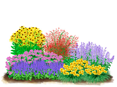 Set of garden plants botanic garden gardener green illustration plants poetschke