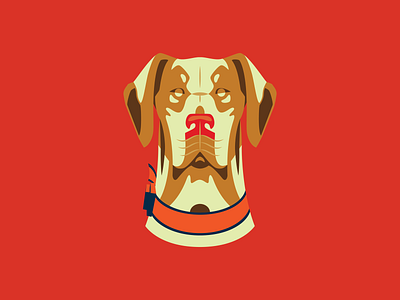 Pointer bark design dog hunting hunting dog illustration nature outdoors pointer pointers vector