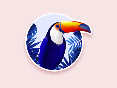 tucan cards dashboard illustration interface minimal product typography ui ux