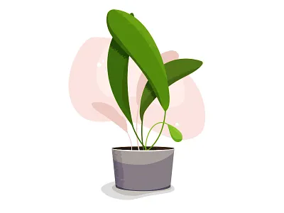Plant ambient design illustration minimal pastel vector