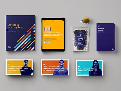 Accuracy is Everything Sales Kit