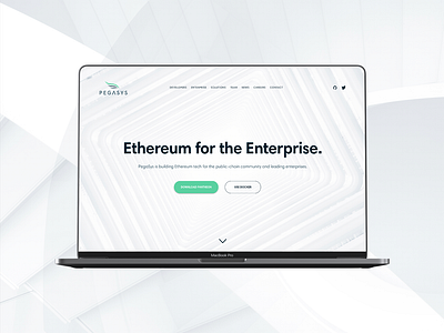 pegasys.tech blockchain business enterprise ethereum fintech web design