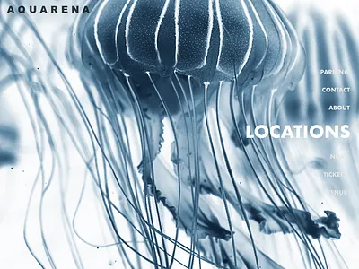 Aquarena Website landing page ui design web web design