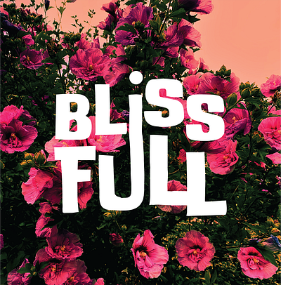 BlissFull - 04 branding graphic design ui