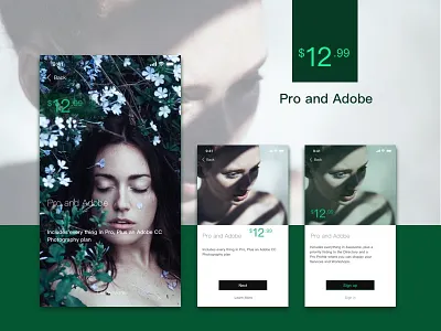 Pro and Adobe ui