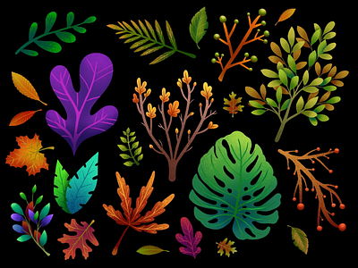 Leaves foliage illustration leaves procreate vegetation