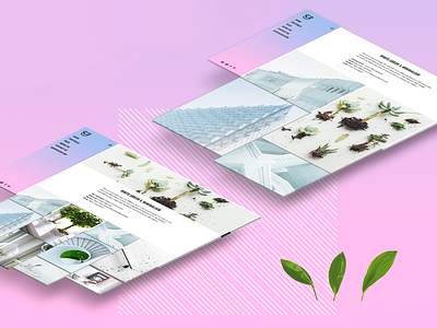 Panda | Portfolio Theme blog figma minimal art minimal blog mock photos structure uid uxd