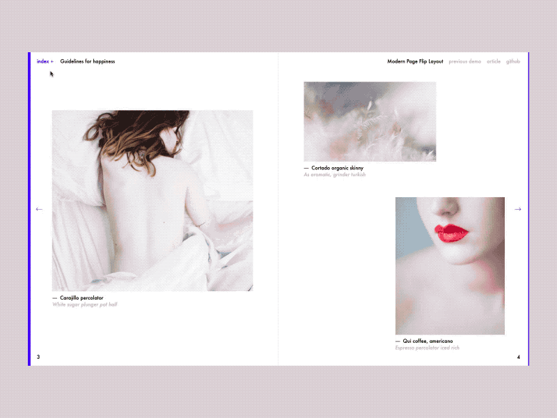 Page Flip Layout animation css css grid demo gif html javascript layout magazine ui