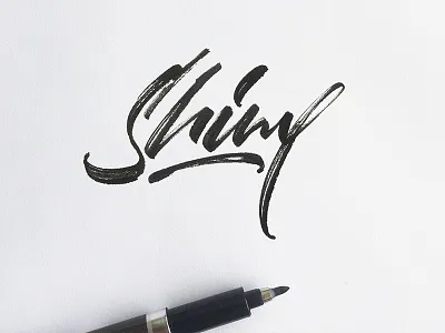 Shiny brush brushlettering brushpen brushscript calligraphy customtype design graphic design lettering logo logo design logotype signature type typography