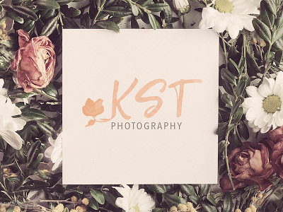 Logo Design - KST Photography advertising blue ridge creative marketing branding branding design business cards graphic design logo logo design mockup photographer re brand watercolor