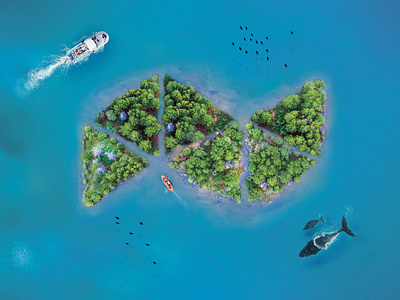 Natife Island design illustration island native nature