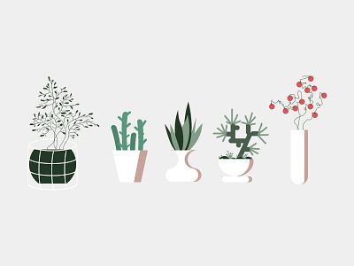 flowers and plants cactus plant 插图