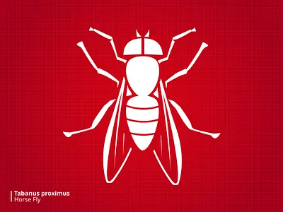 Bloodsuckers Horsefly bugs illustration stylized