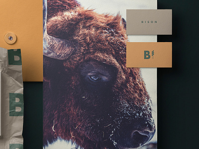 Bison banner brand branding brandingdesign brandingidentity brandinspiration design designer designinspiration graphicdesign identity illustration inspiration logo inspiration logodesign logoinspiration mockup poster visionaryplayground vpagency