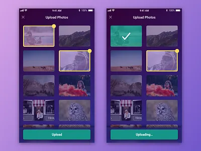 File Upload adobexd dailyui dailyui 031 upload