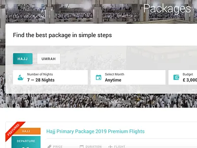 Travel package filter clean web design wordpress