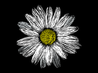 Daisy Sketch design icon sketch vector