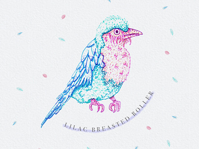 Lilac Breasted Roller bird bird illustration cute cute animal handdrawn handdrawn illustration illustration ink art ink illustration pastel pastel art pastel illustration