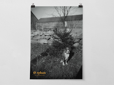 Lost and Found black white creative dog found help huh lost marketing marketing campaign mockup orange orphan photo poster puppy retro sad vintage what
