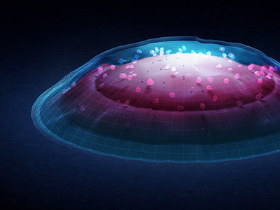 Making wireframe x-ray glowy things (mouth ulcer) with C4D c4d cinema4d medical pharmaceutical photoshop ulcer