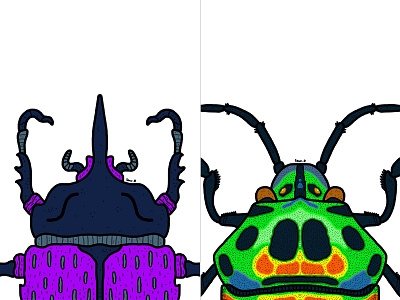 Beetles #2 art artist artwork beetle beetles colour colourful colours design digital digital illustration digitalart draw drawing illustrate illustration illustrator pattern patterns work