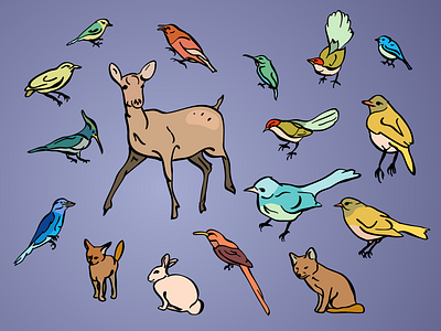 Actions Speak Louder Than Birds birds brush bunny deer flat fox rabbit vector wildlife