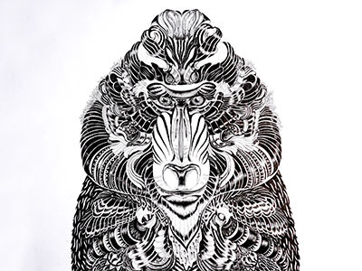 Mandrill animal art art print black and white hand drawing ink art mandrill monkey monkey art monkey portrait nature ornaments ornate animals tattoo