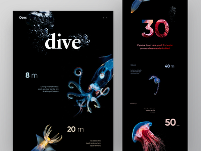 Scuba Diving Destinations cuberto depth destination dive fish graphics mask meter scuba scuba diving sea trip ui ux water