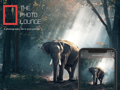 The Photo Lounge adobe xd app interaction design ui ux