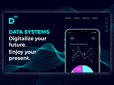 Data Systems web design data design ui uidesign userinterface ux uxdesign we design web