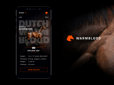 WARMBLOOD app application design horse smartphone ux ux ui ux design