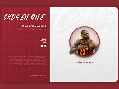 King James icon illustration nba