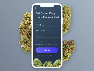 Cannabis Rewards App app cannabis clean flat ios iphone mobile rewards toronto ui