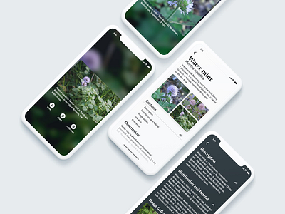 Wikipedia Refresh app design flat ui ux