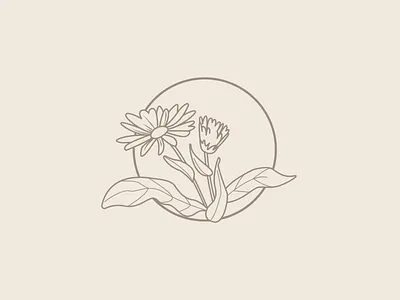 Flowers brand branding design eco ecology flower flowers identity illustration logo natural nature organic typography vector