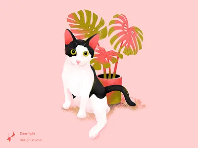 CAT cat deerlight design illustration sweet