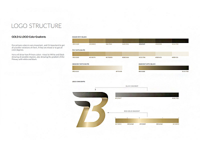 Bimm Logo Color Anatomy art branding color design gradient guidebook identity illustrations logo style guide