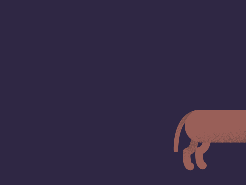 Stretchy doggo 2d after effect animation dog doggo grain hotdog noise path pup pupper shapelayers stretch